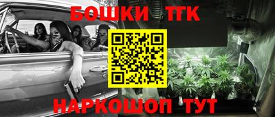 молекула духа Новодвинск