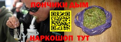 шишки Нальчик
