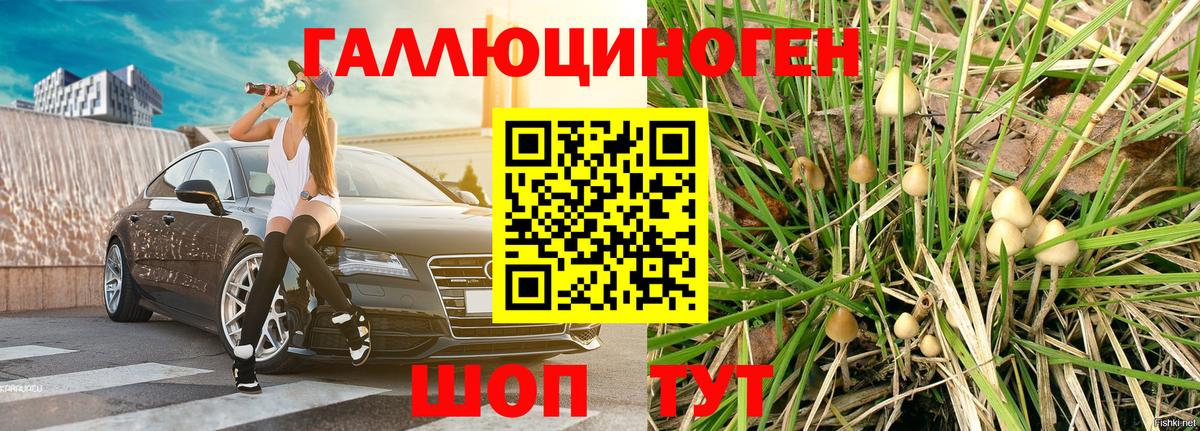 Усинск  Галлюциногенные грибы мухоморы  Вход с VPN 