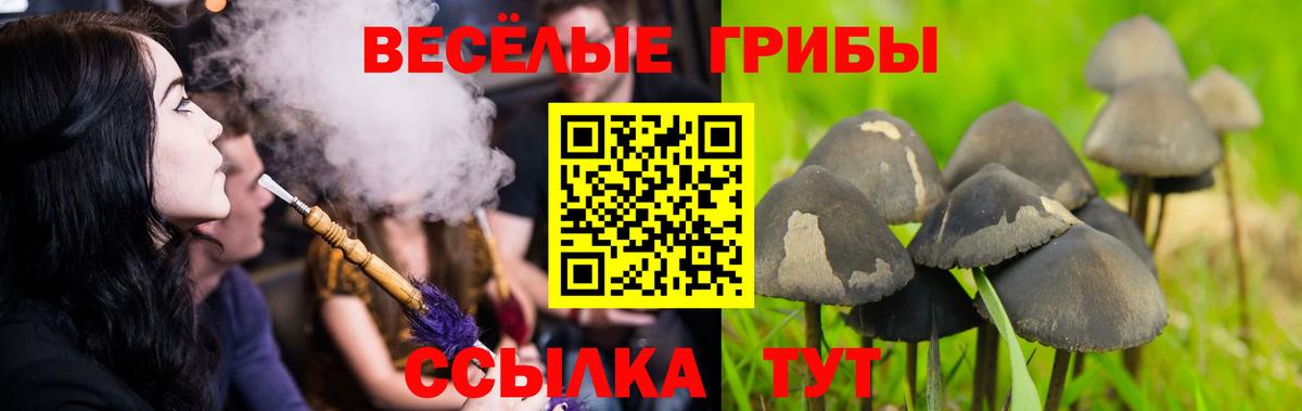 Галлюциногенные грибы GOLDEN TEACHER Усинск